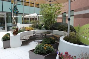 Landscaping Phoenix AZ